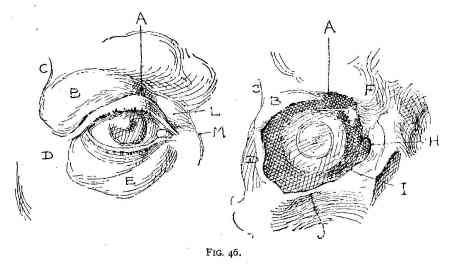 an image of the human eye and its parts