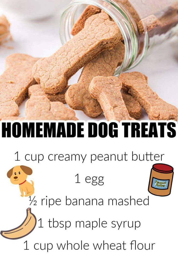 homemade dog treats in a jar with instructions for how to make them and what to use them