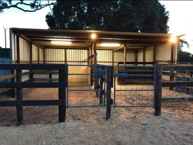 two horses are standing in their stalls at night