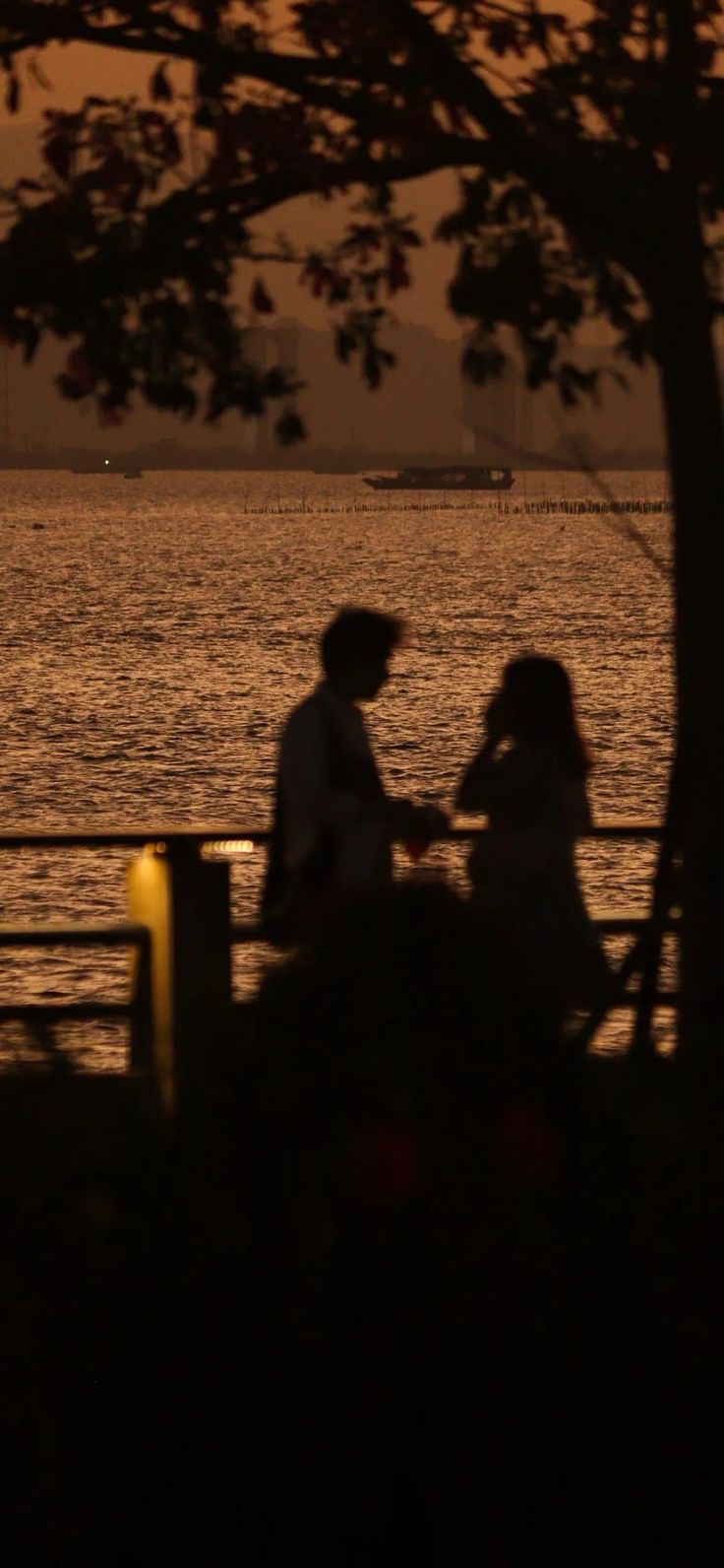 two people are sitting on a bench near the water at sunset or dawn, with boats in the distance