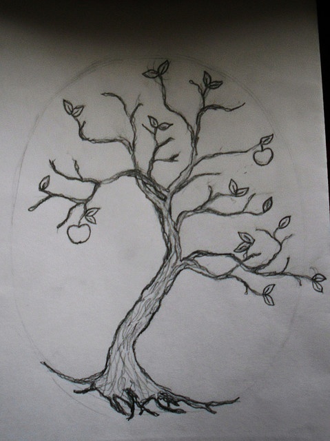 a drawing of a tree with leaves and apples in the branches, on white paper