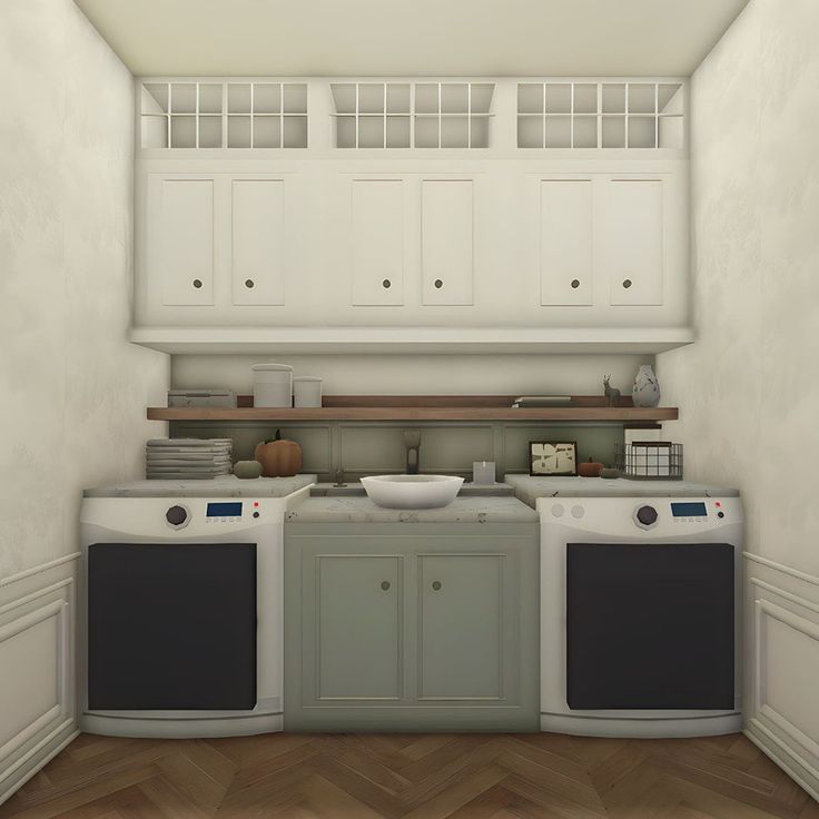 an image of a kitchen setting with two ovens and a dishwasher on the counter