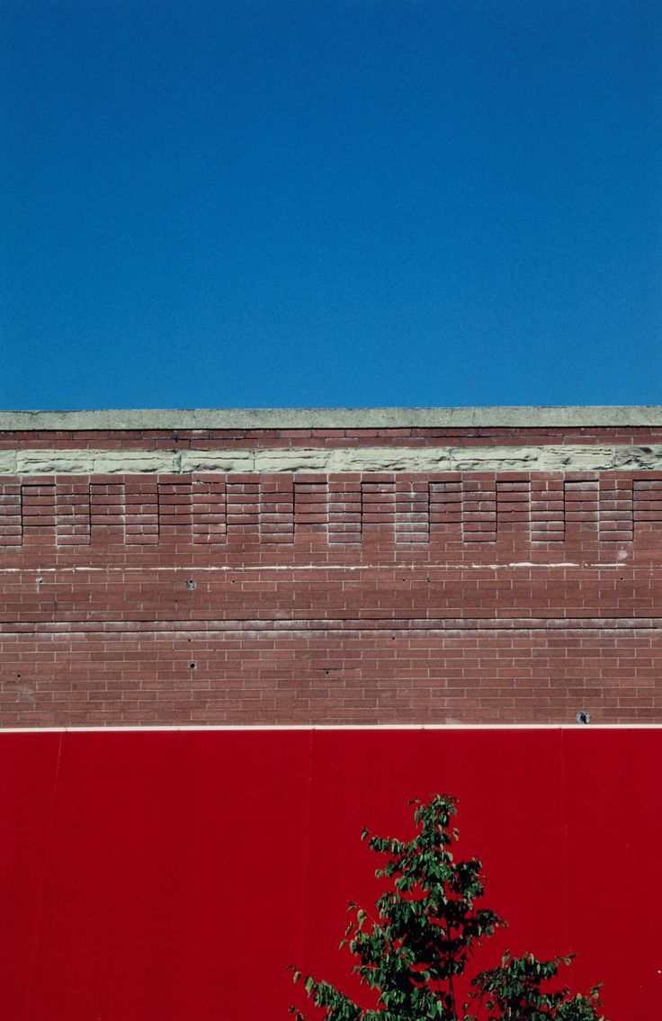 a red brick wall with a tree in the foreground and a blue sky above