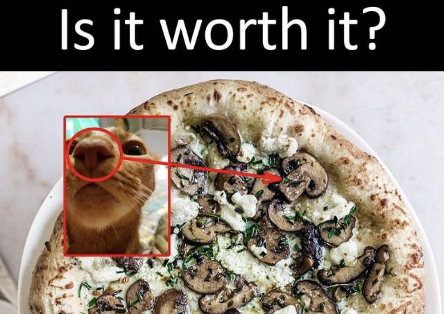 a pizza with mushrooms on it and a cat's face next to it,