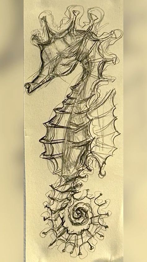 a drawing of a sea horse on a piece of paper