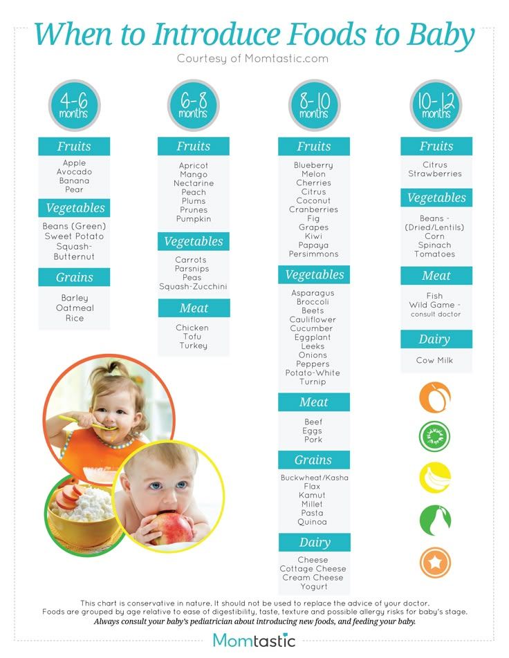 the baby food info sheet is shown