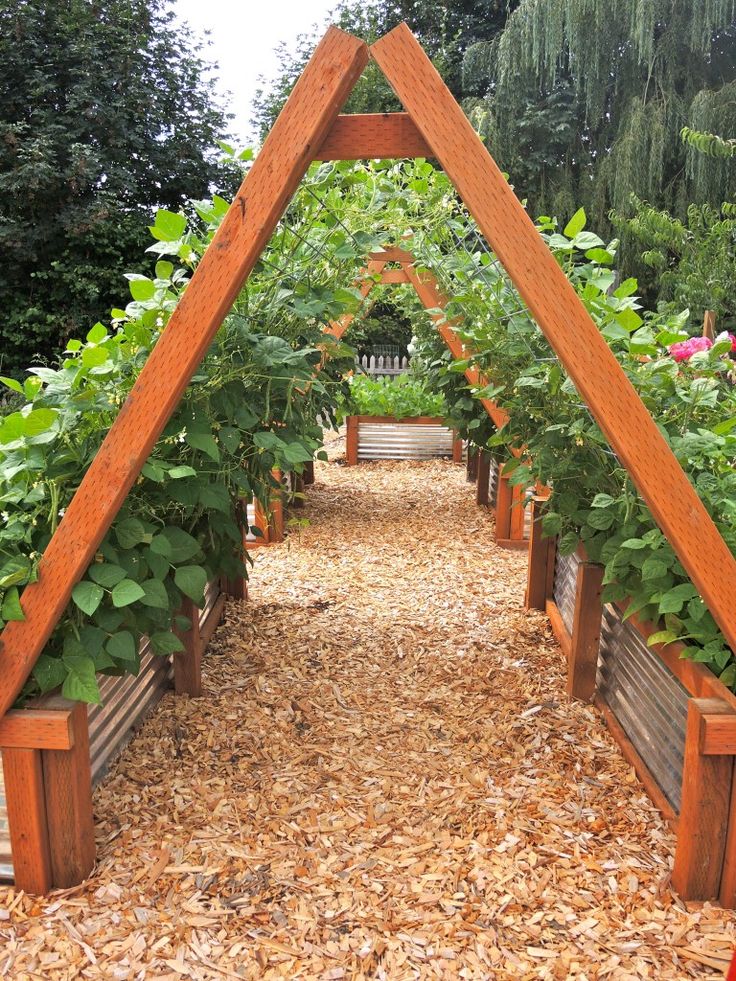 a wooden garden arch with plants growing in it