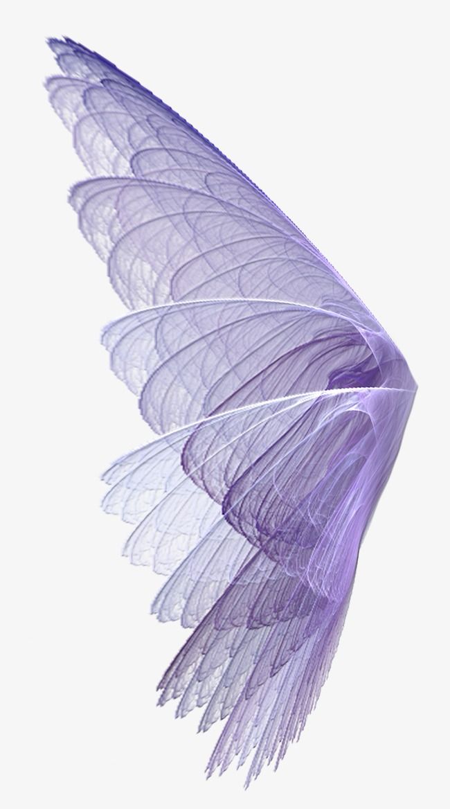 a purple bird flying in the air with it's wings spread wide and outstretched