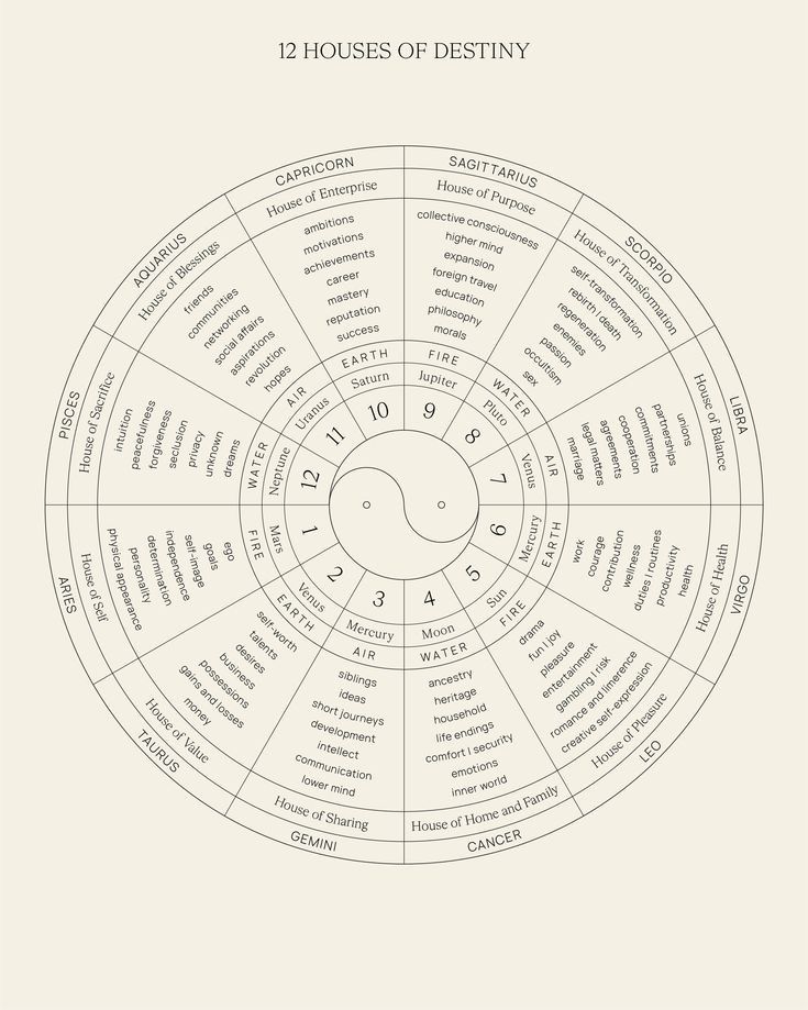 the twelve houses of destiny in white and black, on a beige background