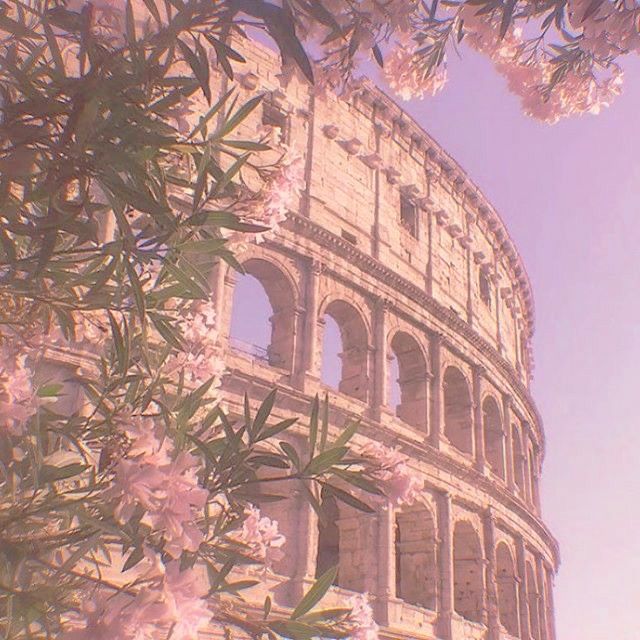 the colossion is surrounded by pink flowers and greenery in front of it