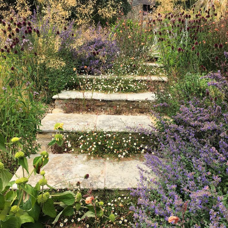 a garden with flowers and steps leading up to it