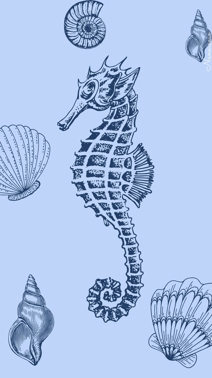 an image of seahorses and seashells drawn in ink on blue paper