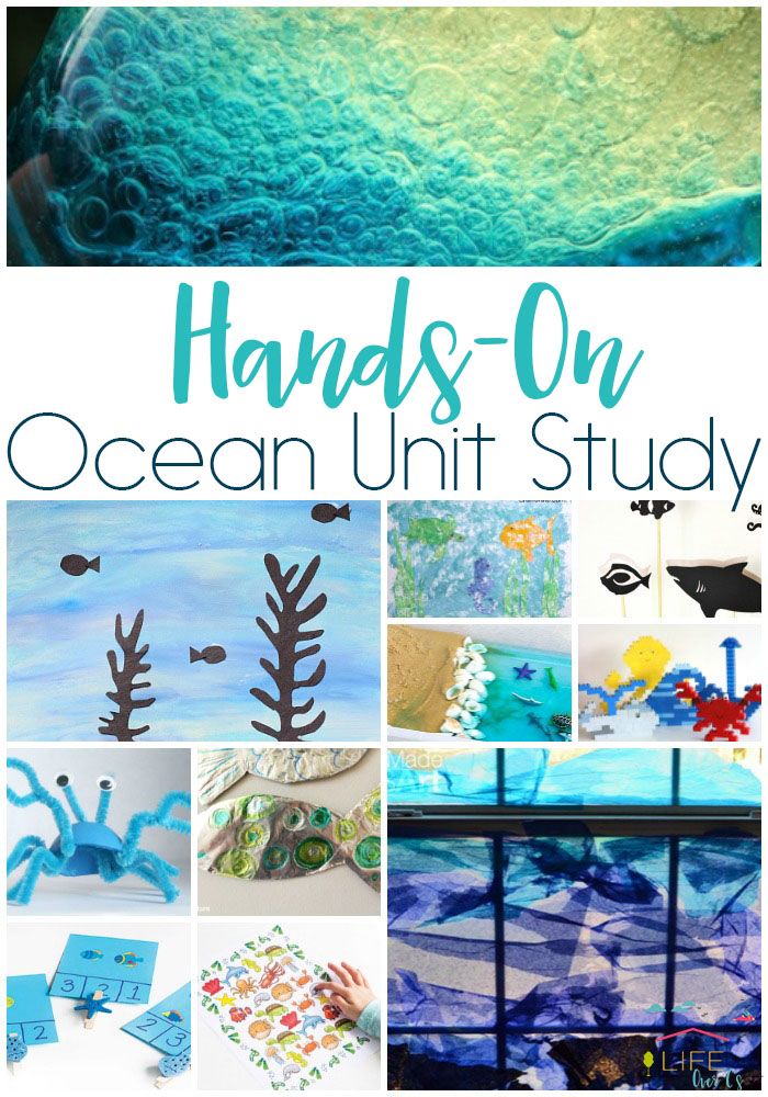 hand and on ocean unit study with pictures of sea animals, fish, and plants