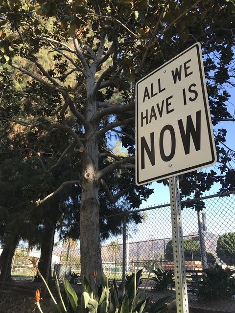 a white and black sign that says all we have is now next to a tree