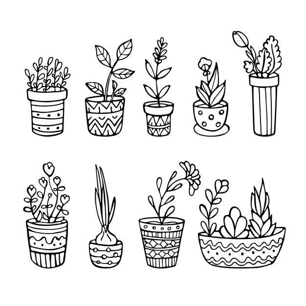 hand drawn potted plants on white background