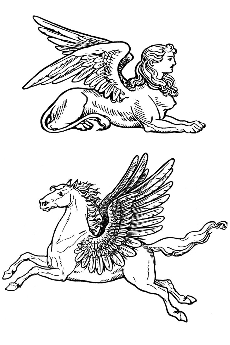 two horses with wings on their backs, one flying and the other sitting in the air