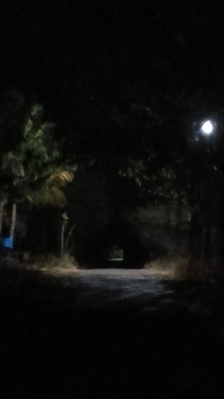 an empty road at night with the light on and trees in the dark behind it