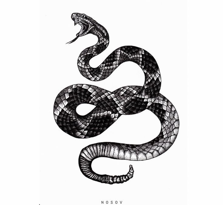 a black and white drawing of a snake