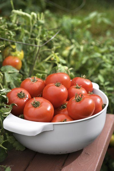 a white bowl filled with lots of red tomatoes on top of a wooden table next to green plants