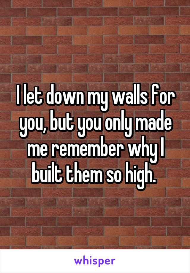 a brick wall that says i let down my walls for you, but you only made me remember why i built them so high