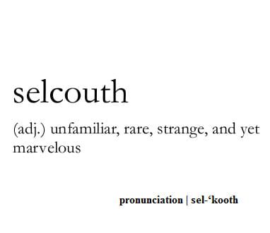 the words selooth are written in black and white, as well as an image of