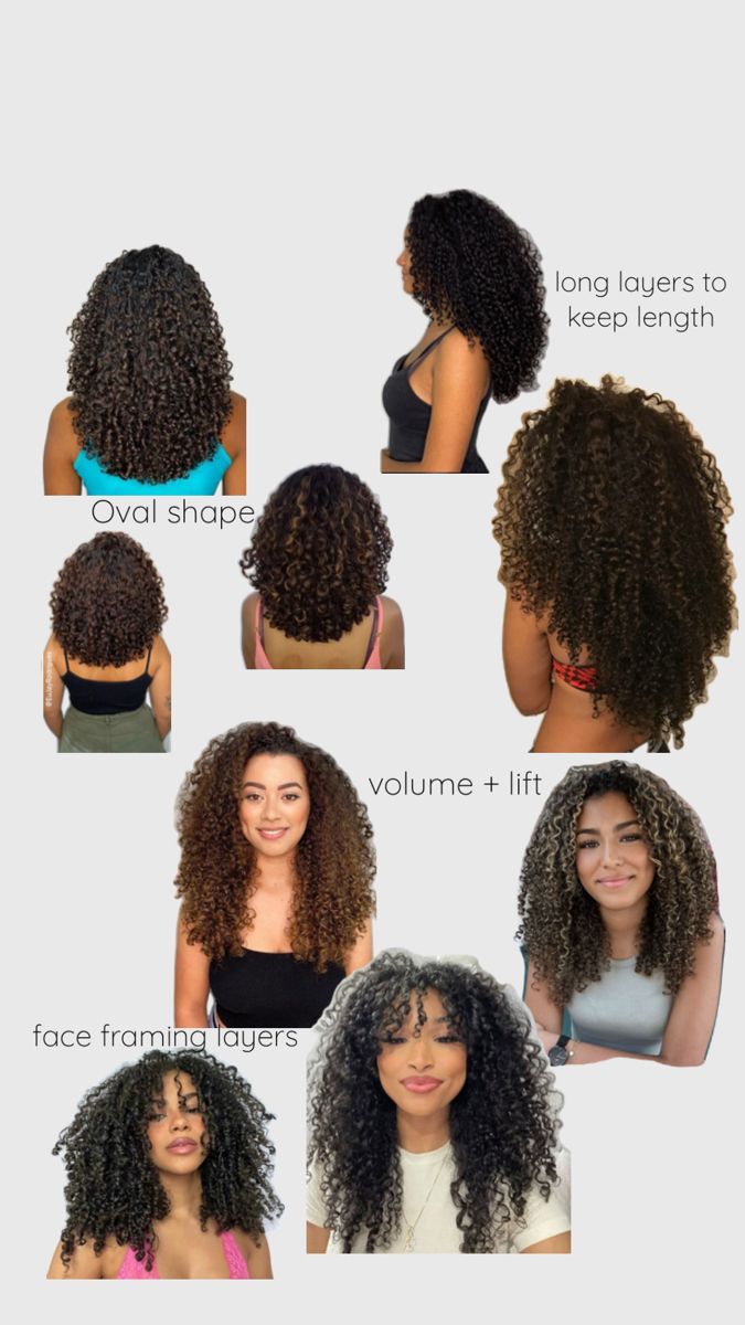 3 Curly Hair Type, Curly Haircut 3b 3c, 3b Curl Haircut, Oval Shape Curly Haircut, Haircuts To Get For Curly Hair, Triangle Haircut Curly Hair, Curly Haircut Inspo Natural Curls, Curly Hair Looks Outfit, Cute Curly Hair Haircuts