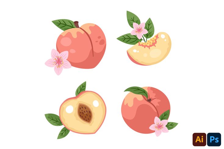 four peaches with leaves and flowers on them