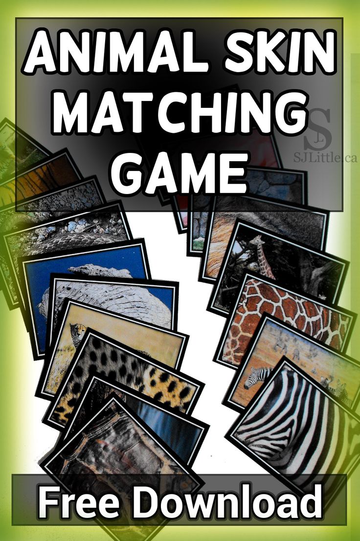 an animal skin matching game is shown