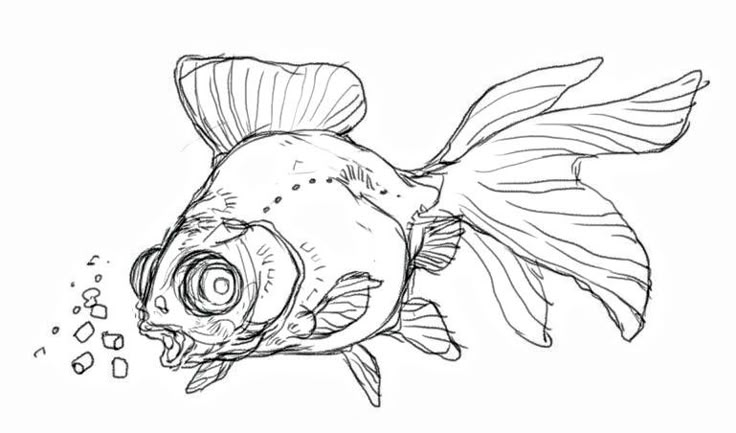 a black and white drawing of a goldfish with bubbles coming out of it's mouth