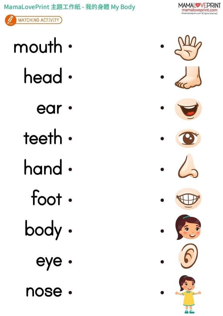 an english worksheet with the words mouth, head, ear, and hand