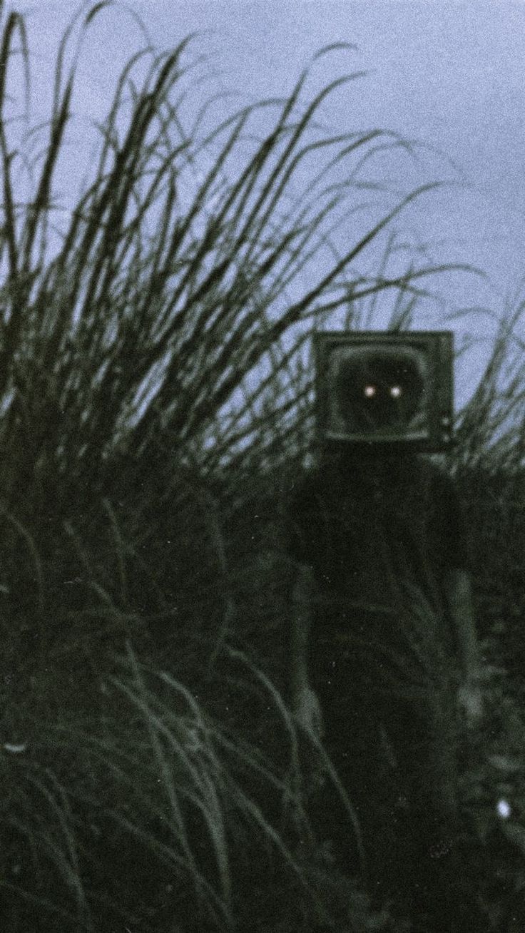 a man with a camera on his head walking through tall grass in front of a dark sky