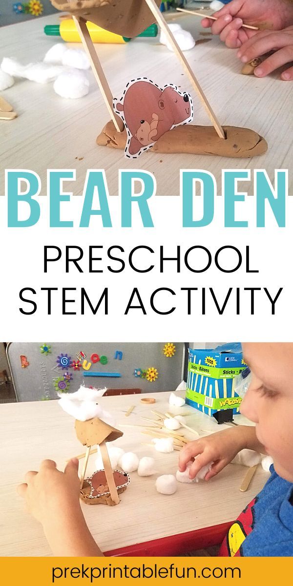 Homes And Habitats Preschool Crafts, Bear Day Preschool, Bear Wants More Activities Preschool, Hibernation Station Preschool Activities, Animal Study Preschool, Woodland Animals Preschool Activities, Forest Animal Preschool, Animal Homes Preschool, Bear Science Activities Preschool