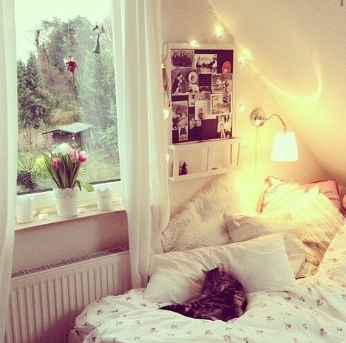 a cat laying on top of a white bed in a bedroom next to a window