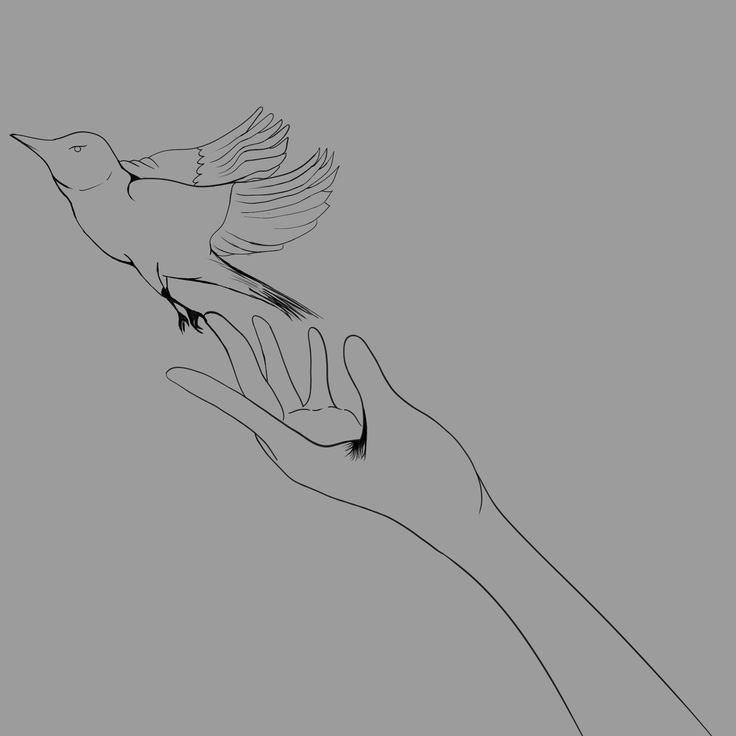 a hand holding a bird in the air