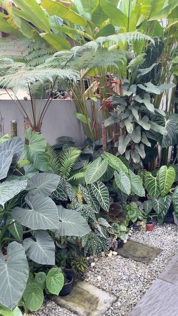 many different types of plants and rocks in a garden