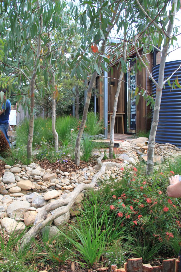 there is a garden with rocks and plants in the foreground, next to a blue water tank