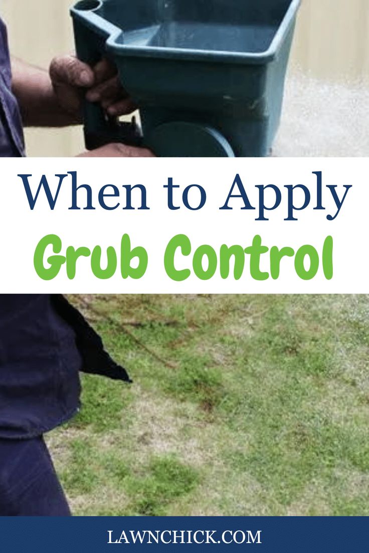 a man holding a wheelbarrow with the words when to apply grub control