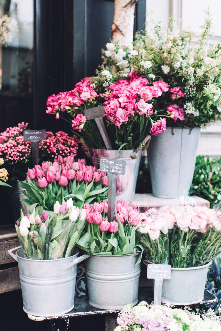 several buckets filled with pink and white flowers