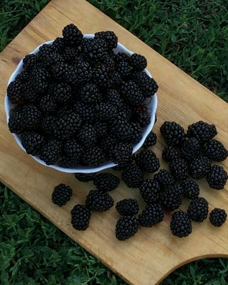 a white bowl filled with blackberries sitting on top of a wooden cutting board next to green grass