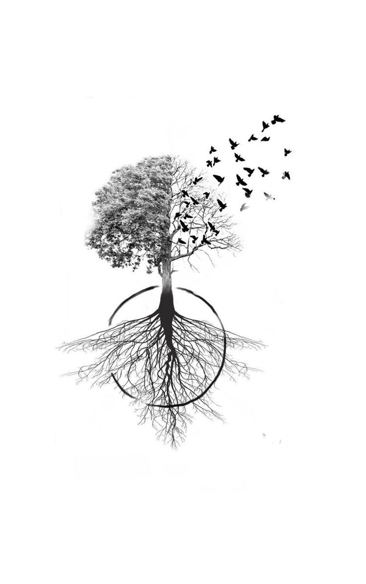 a tree with roots and birds flying around it