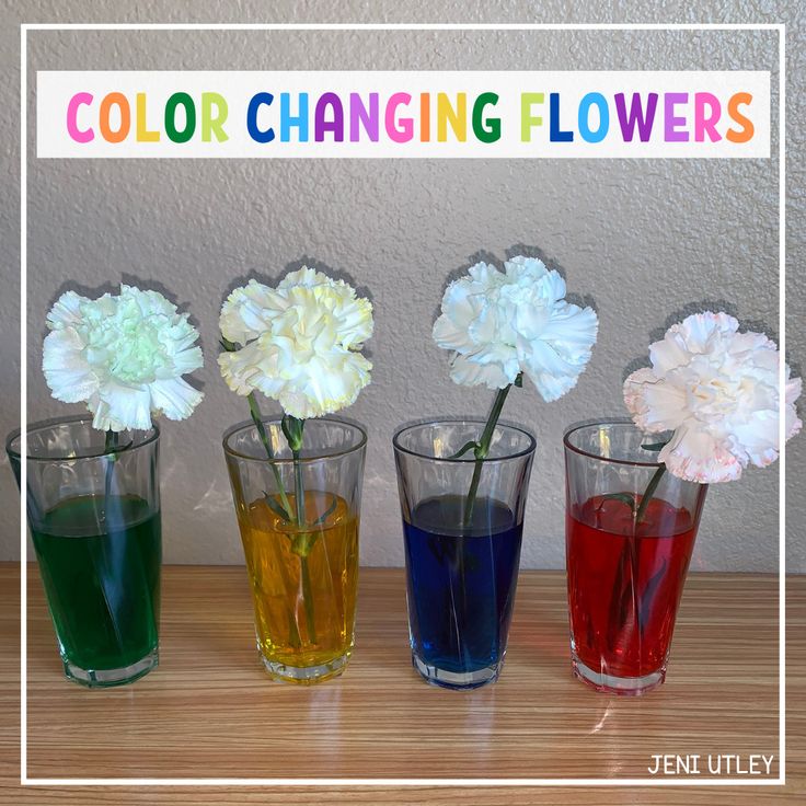 four vases filled with different colored flowers sitting on top of a wooden table next to a wall