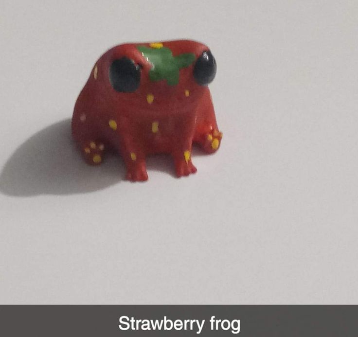 a small red toy animal sitting on top of a white surface with the words strawberry frog written below it