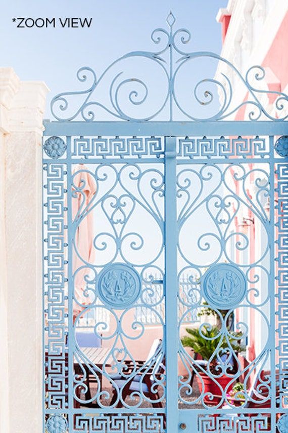 an ornate iron gate with potted plants in the middle and blue sky behind it