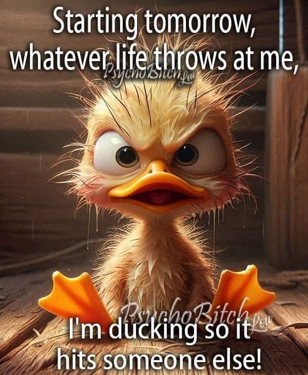 an emu with the caption saying, starting tomorrow, whatever life throws at me, i'm ducking so it hits someone else