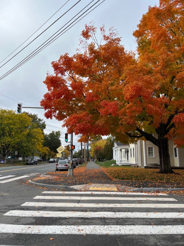 an intersection in the fall with leaves on the ground and trees turning red, yellow and orange