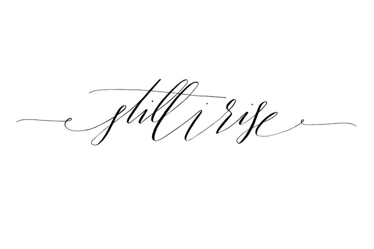 the word still rise written in cursive writing on a white background with black ink