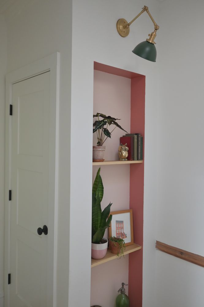 a pink shelf with plants and pictures on it