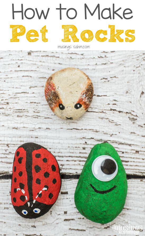 how to make pet rocks with the text overlay