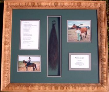 a framed photo with horses and pictures on it's sides, along with information about the horse