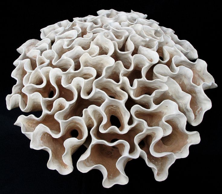 a close up of a white coral on a black background